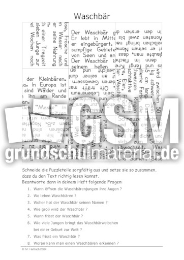 Waschbär.pdf